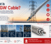 What is OPGW Cable